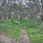 trails along the American River